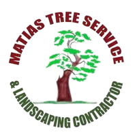 Matias tree service and landscape contractor Logo