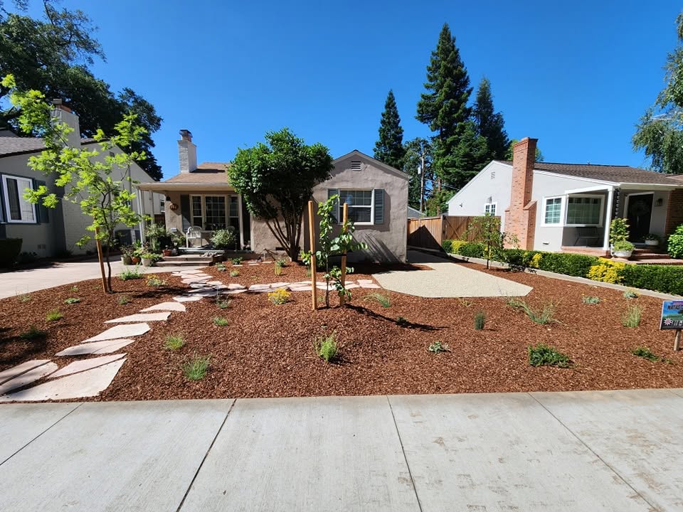 Tree service near me in Sacramento, CA